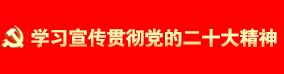 學(xué)習(xí)宣傳貫徹黨的二十大精神