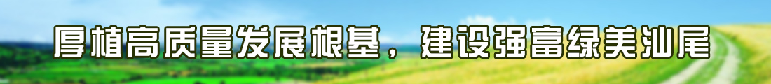 厚植高質(zhì)量發(fā)展根基，建設(shè)強富綠美汕尾