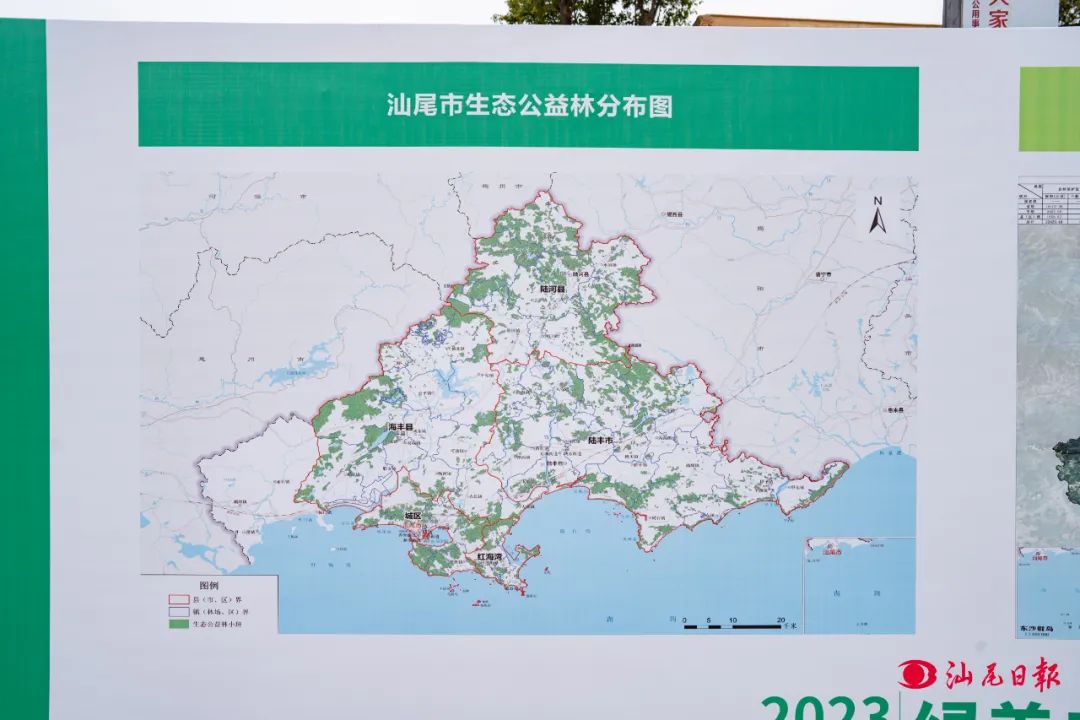 綠美2.jpg