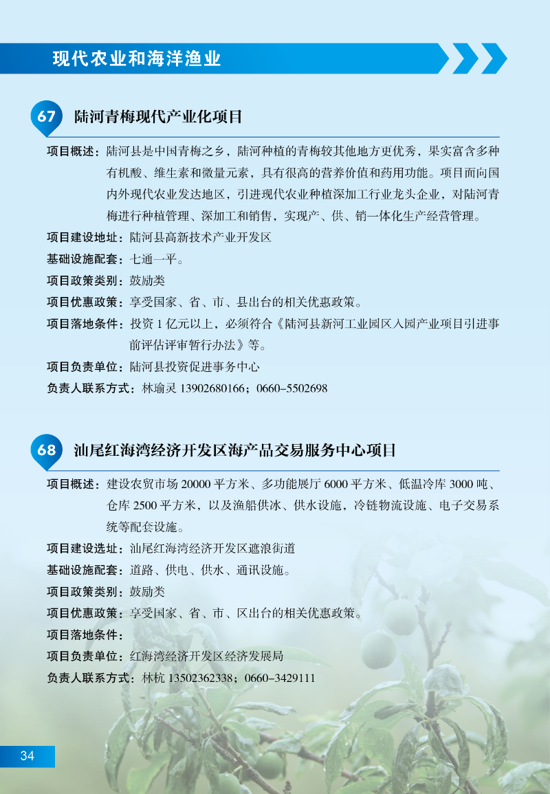 汕尾招商項(xiàng)目40.jpg