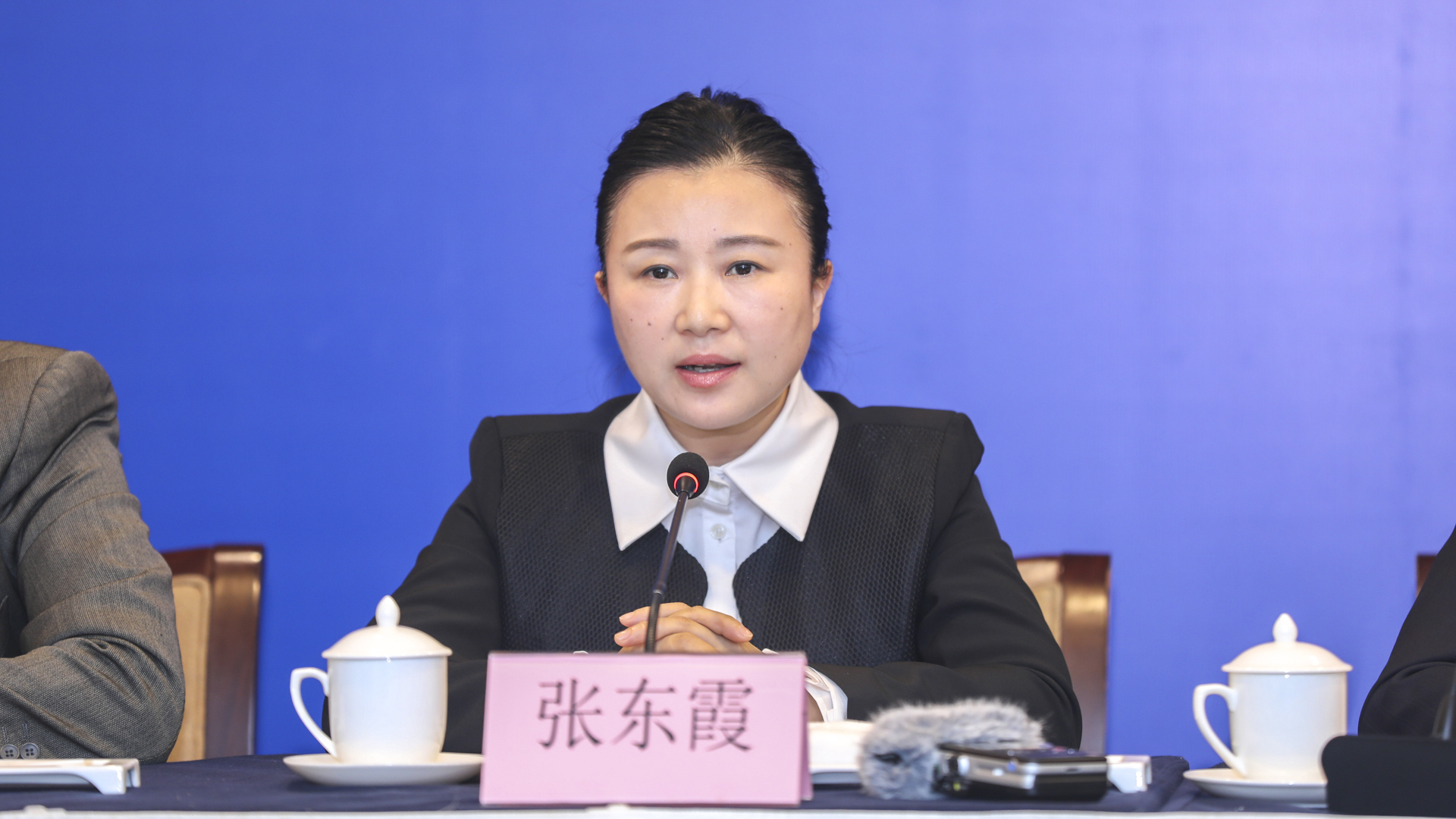 廣東省民政廳養(yǎng)老服務(wù)處處長(zhǎng)張東霞（攝影：曹雅琴）