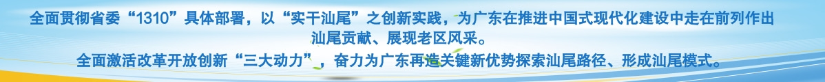 全面貫徹省委“1310”具體部署，以“實干汕尾”之創(chuàng)新實踐，為廣東在推進(jìn)中國式現(xiàn)代化建設(shè)中走在前列作出汕尾貢獻(xiàn)、展現(xiàn)老區(qū)風(fēng)采。<br/>全面激活改革開放創(chuàng)新“三大動力”，奮力為廣東再造關(guān)鍵新優(yōu)勢探索汕尾路徑、形成汕尾模式。