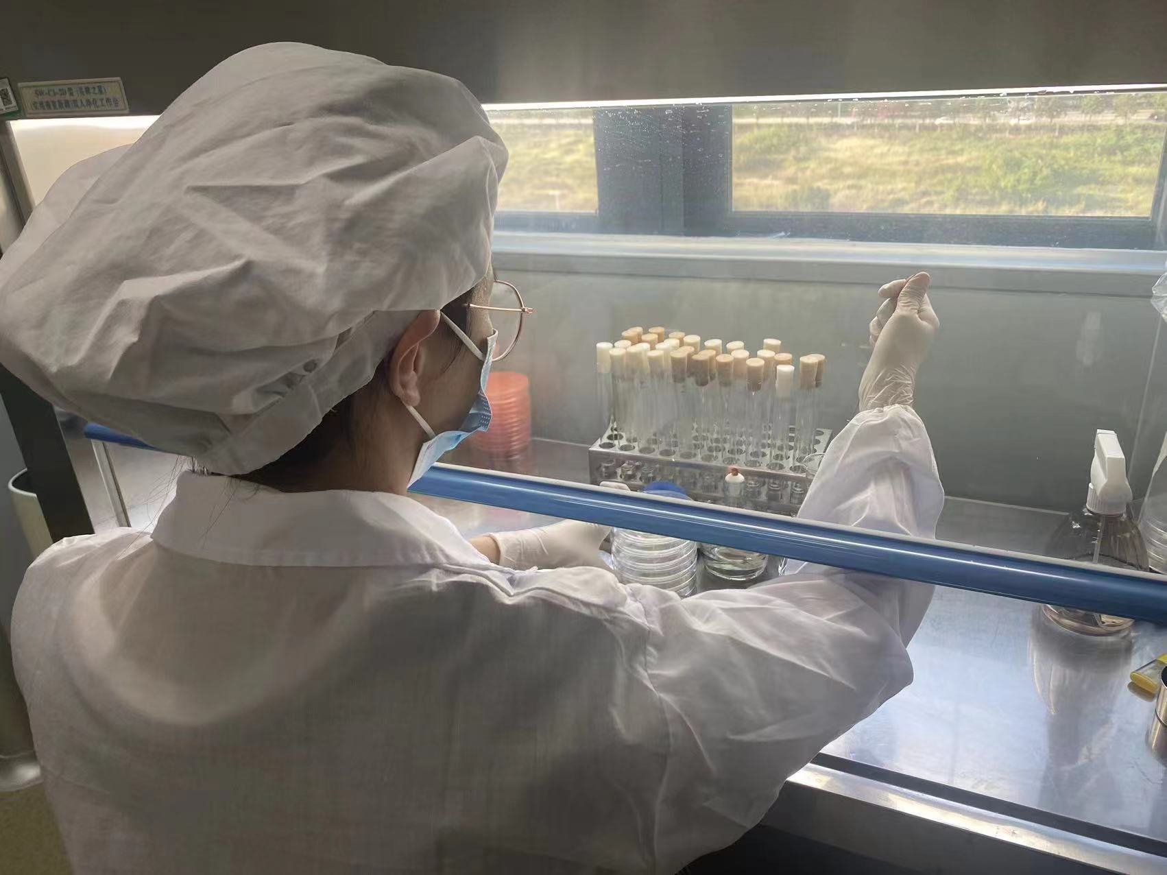 市質(zhì)計所技術人員正在進行食品檢測.jpg