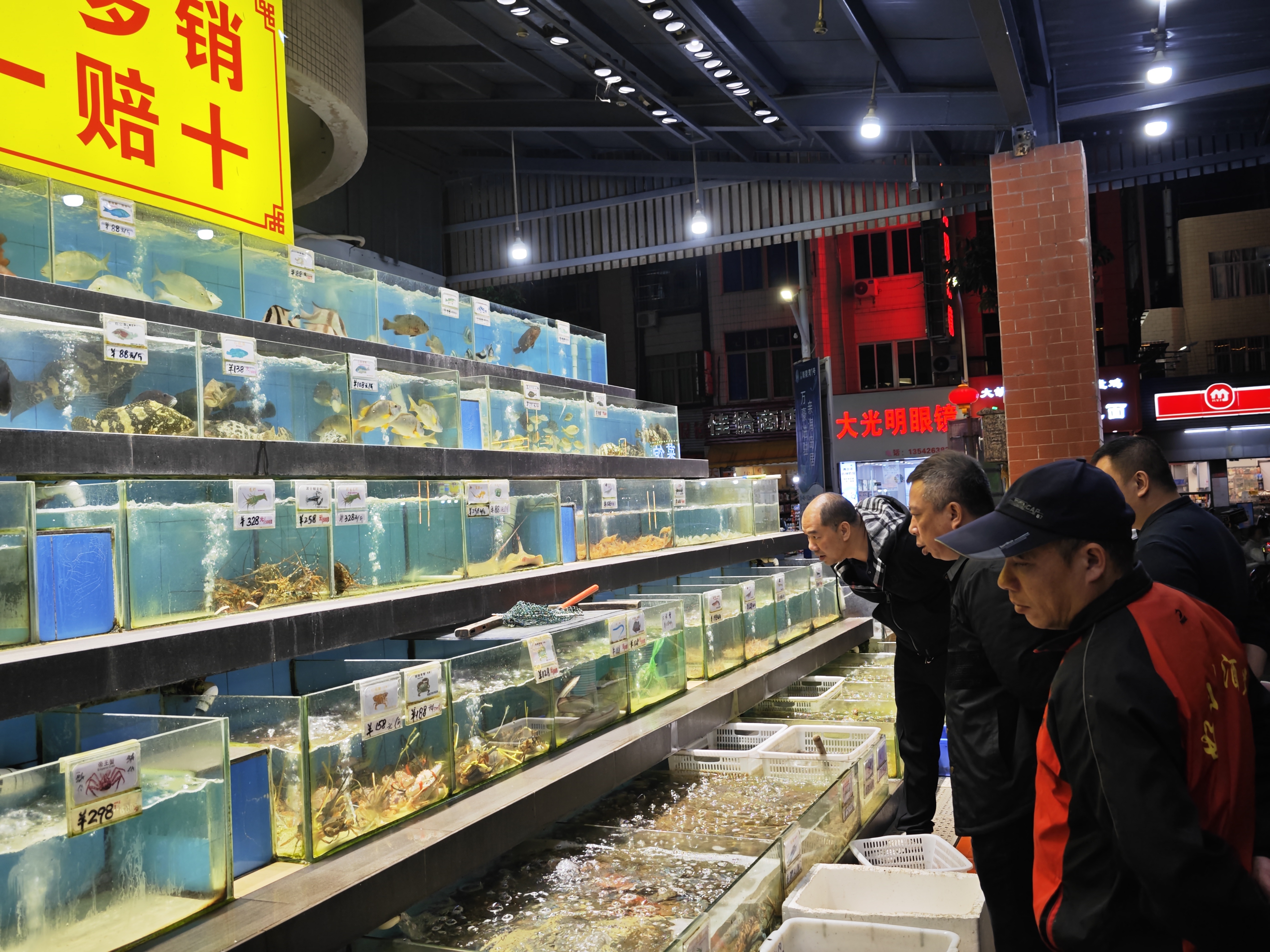 在海陵島考察6.jpg