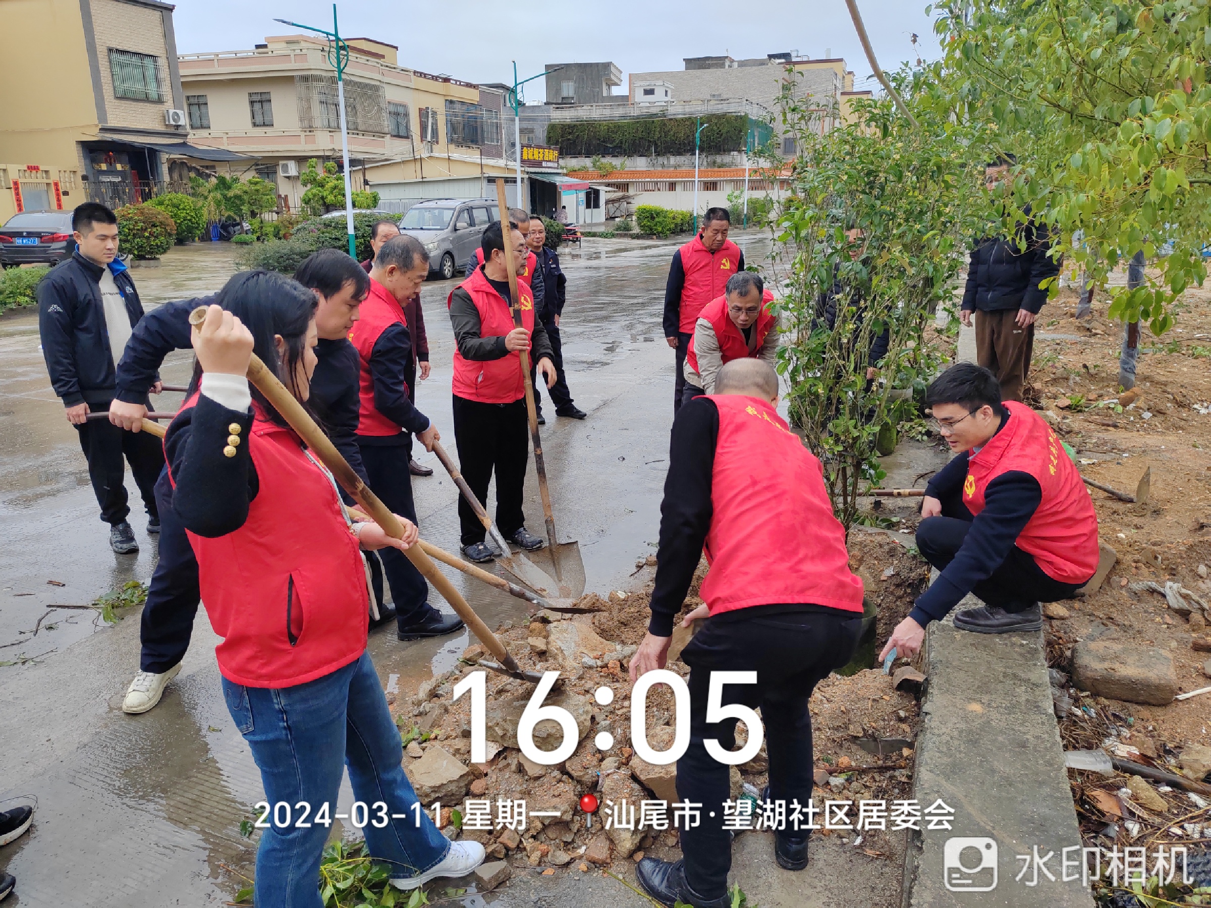 植樹活動現(xiàn)場.jpg