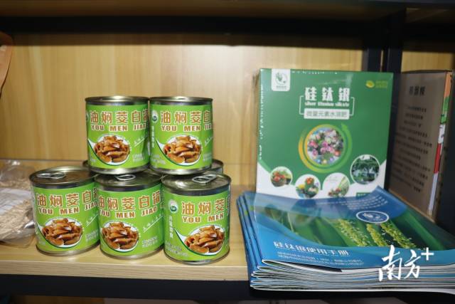 部分茭白初加工產(chǎn)品。 