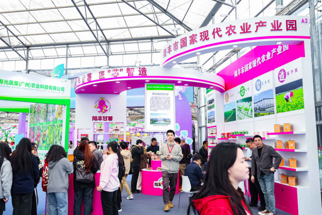 產(chǎn)業(yè)園展區(qū)熱鬧非凡。