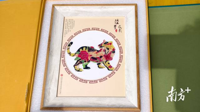    南方+ 陳保良 拍攝