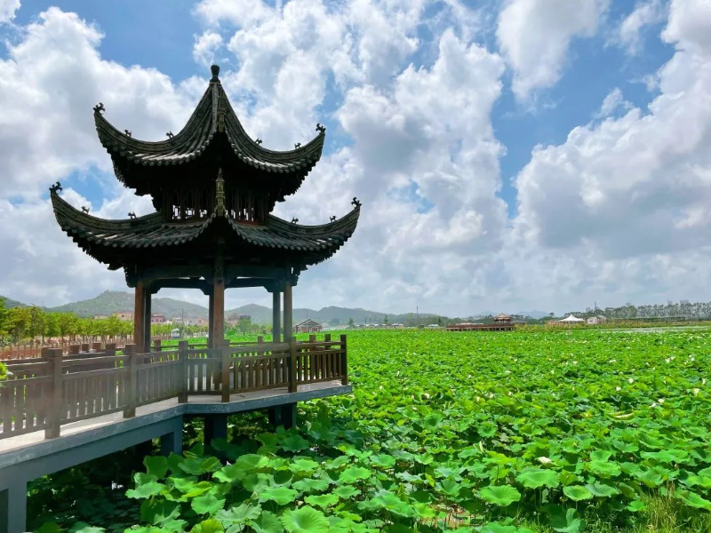 已編輯圖片