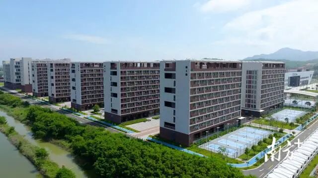 受訪者 供圖
