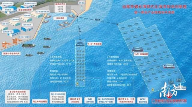 受訪者供圖