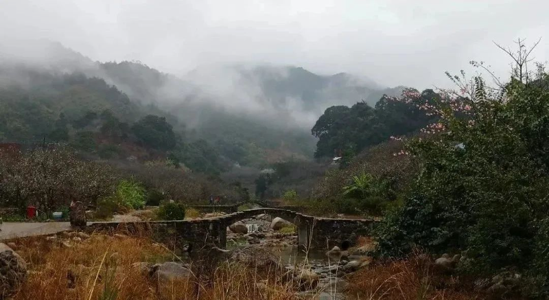 已編輯圖片