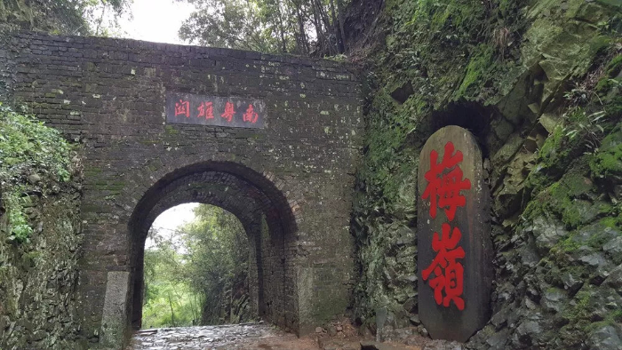 已編輯圖片