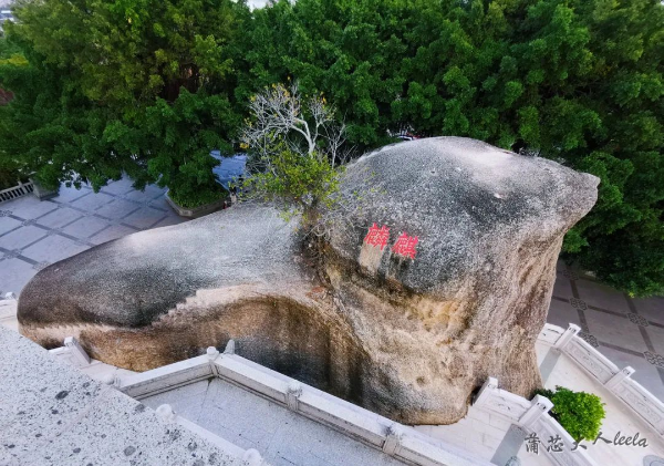 圖片