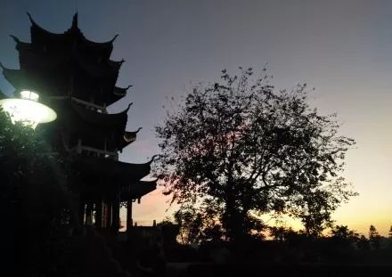 圖片